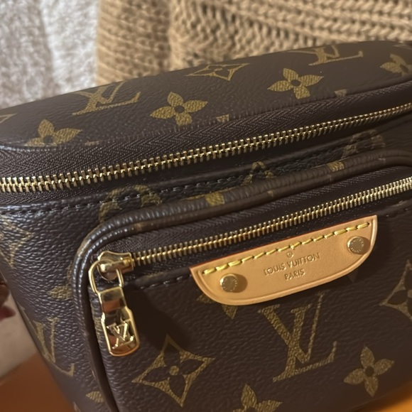 Louis Vuitton Mini Bum Bag - Picture 3 of 10
